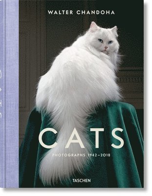Walter Chandoha. Cats. Photographs 1942–2018