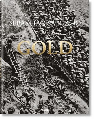 Sebastio Salgado. Gold 1