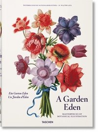 bokomslag A Garden Eden. Masterpieces of Botanical Illustration