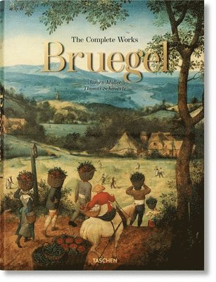Jürgen Müller, Thomas Schauerte - Bruegel, Inbunden
