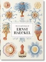bokomslag Ernst Haeckel. Kunst und Wissenschaft. 40th Ed.