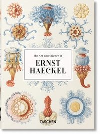 bokomslag The Art and Science of Ernst Haeckel. 40th Ed.