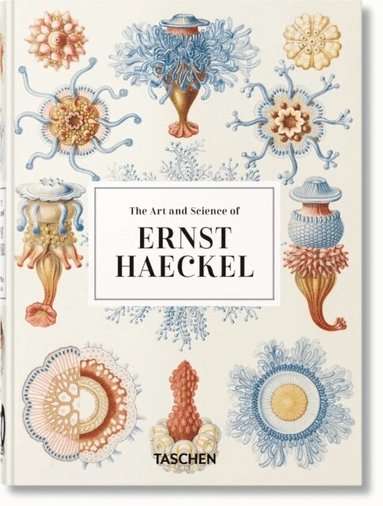 Julia Voss, Rainer Willmann - Art and Science of Ernst Haeckel, Inbunden