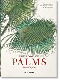 bokomslag Martius. The Book of Palms. 40th Ed.