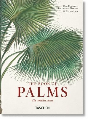 bokomslag Martius. The Book of Palms. 45th Ed.