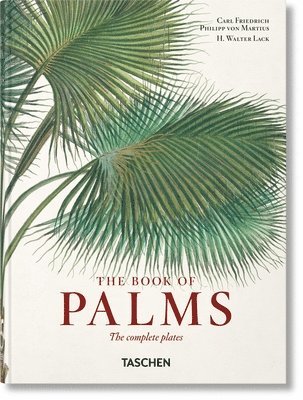 Martius. The Book of Palms. 40th Ed. 1