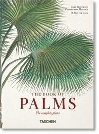 bokomslag Martius. El libro de las palmeras. 45th Ed.