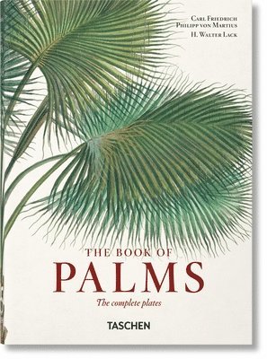 bokomslag Martius. El libro de las palmeras. 45th Ed.
