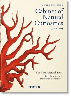 Seba. Cabinet of Natural Curiosities. 40th Ed. 1