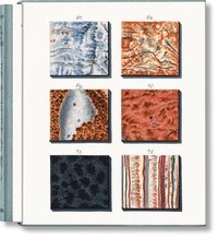 bokomslag Jan Christiaan Sepp. The Book of Marble