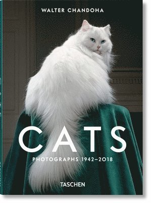 Walter Chandoha. Cats. Photographs 19422018 1