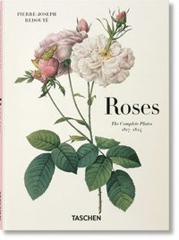 bokomslag Redoute. Roses