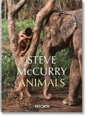 bokomslag Steve McCurry. Animals