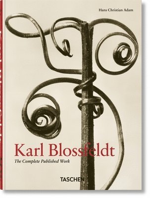 Hans Christian Adam - Karl Blossfeldt, Inbunden