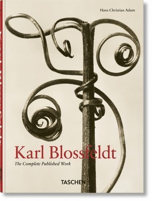 bokomslag Karl Blossfeldt. The Complete Published Work. 40th Ed.