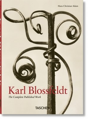 Hans Christian Adam - Karl Blossfeldt, Inbunden