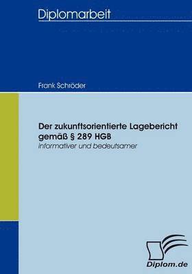 Frank Schröder - zukunftsorientierte Lagebericht gemäß § 289 HGB, Häftad