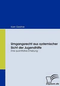 bokomslag Umgangsrecht aus systemischer Sicht der Jugendhilfe