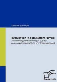 bokomslag Intervention in dem System Familie