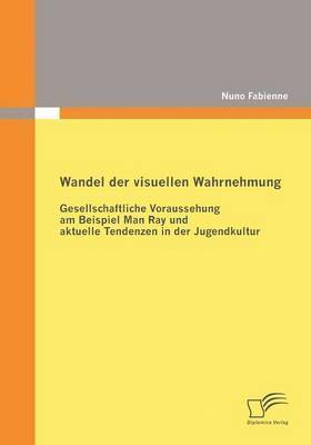 bokomslag Wandel der visuellen Wahrnehmung