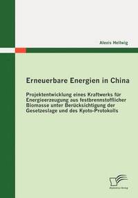 bokomslag Erneuerbare Energien in China