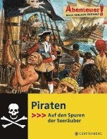 bokomslag Piraten