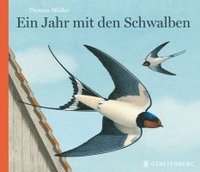 bokomslag Ein Jahr mit den Schwalben