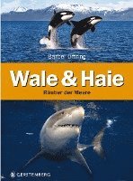 bokomslag Wale & Haie