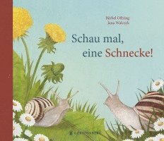 bokomslag Schau mal, eine Schnecke!