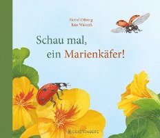 Schau mal, ein Marienkäfer! 1