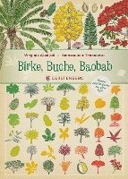 bokomslag Birke, Buche, Baobab
