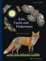 bokomslag Eule, Fuchs und Fledermaus