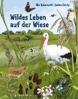 bokomslag Wildes Leben auf der Wiese