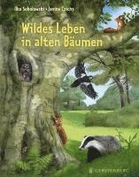 bokomslag Wildes Leben in alten Bäumen