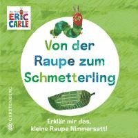 bokomslag Von der Raupe zum Schmetterling