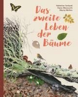 bokomslag Das zweite Leben der Bäume