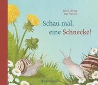 bokomslag Schau mal, eine Schnecke!