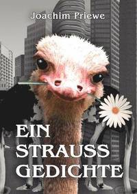 bokomslag Ein Strauss Gedichte