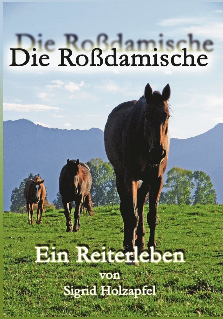 Die Rodamische 1