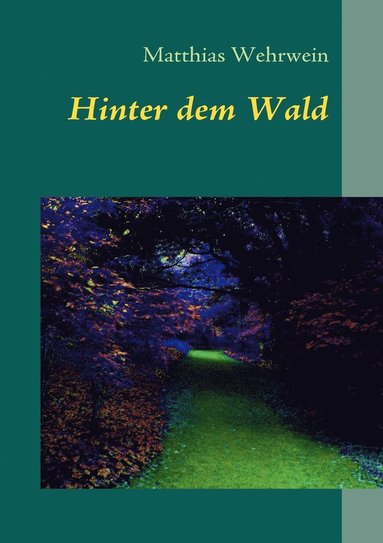 bokomslag Hinter dem Wald