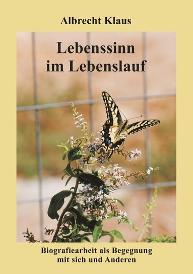 bokomslag Lebenssinn im Lebenslauf