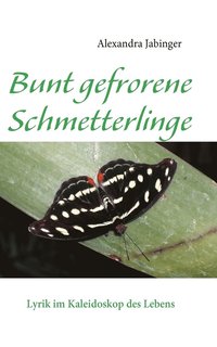 bokomslag Bunt gefrorene Schmetterlinge