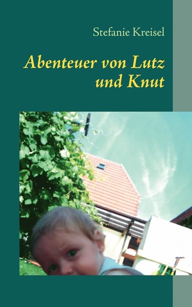 bokomslag Abenteuer von Lutz und Knut