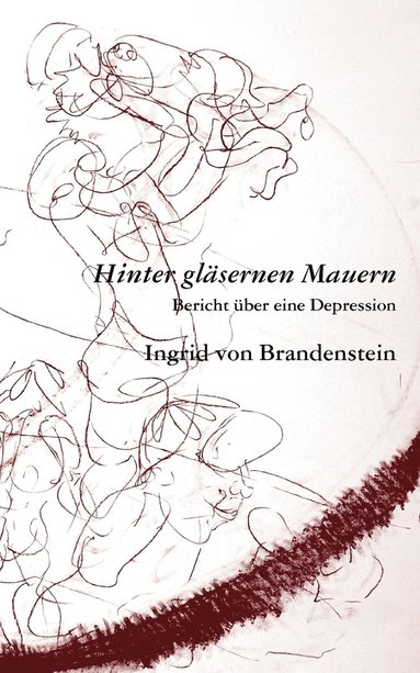 bokomslag Hinter gläsernen Mauern