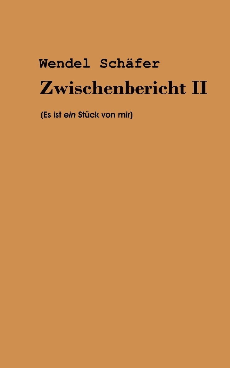 Wendel Schäfer - Zwischenbericht 2, Häftad