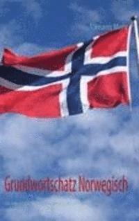 bokomslag Grundwortschatz Norwegisch