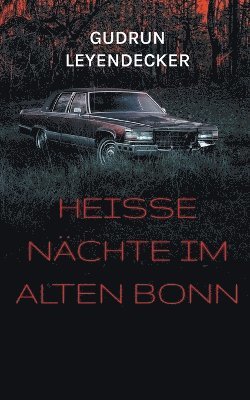 bokomslag Heiße Nächte im alten Bonn