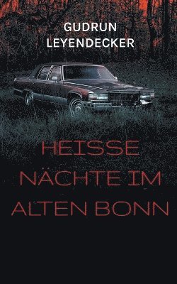 Heie Nchte im alten Bonn 1