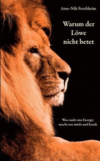 bokomslag Warum der Löwe nicht betet
