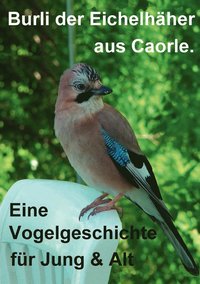 bokomslag Burli der Eichelhäher aus Caorle